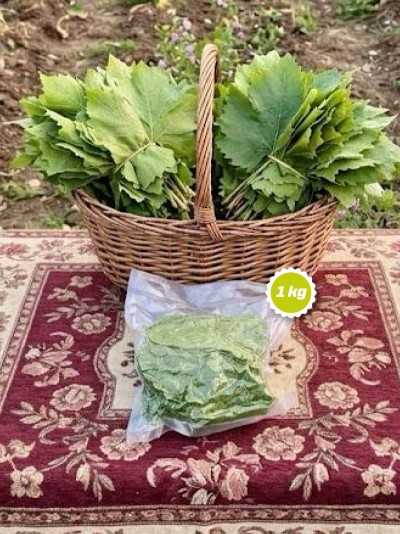 Vakumlu Taze Asma Yaprak 1 kg.