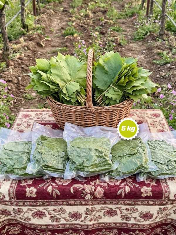 Vakumlu Taze Asma Yaprak 5 kg.