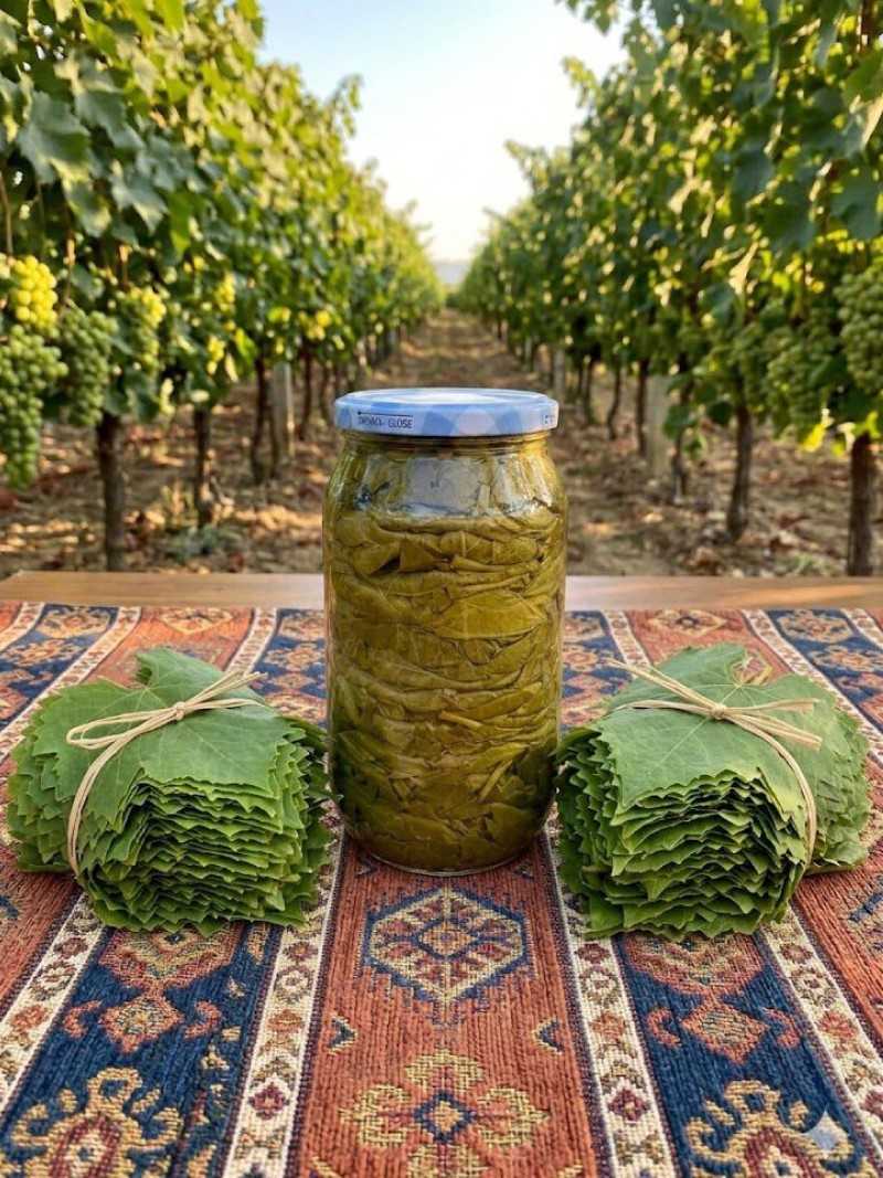 Kuru Basım Asma Yaprak 1'lik Kavanoz