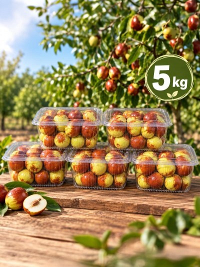 Taze Hünnap 5 Kg